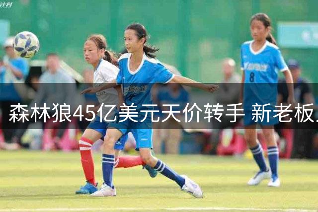 森林狼45亿美元天价转手 新老板入主引关注