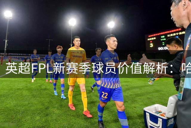 英超FPL新赛季球员价值解析：哈兰德与B费身价评估